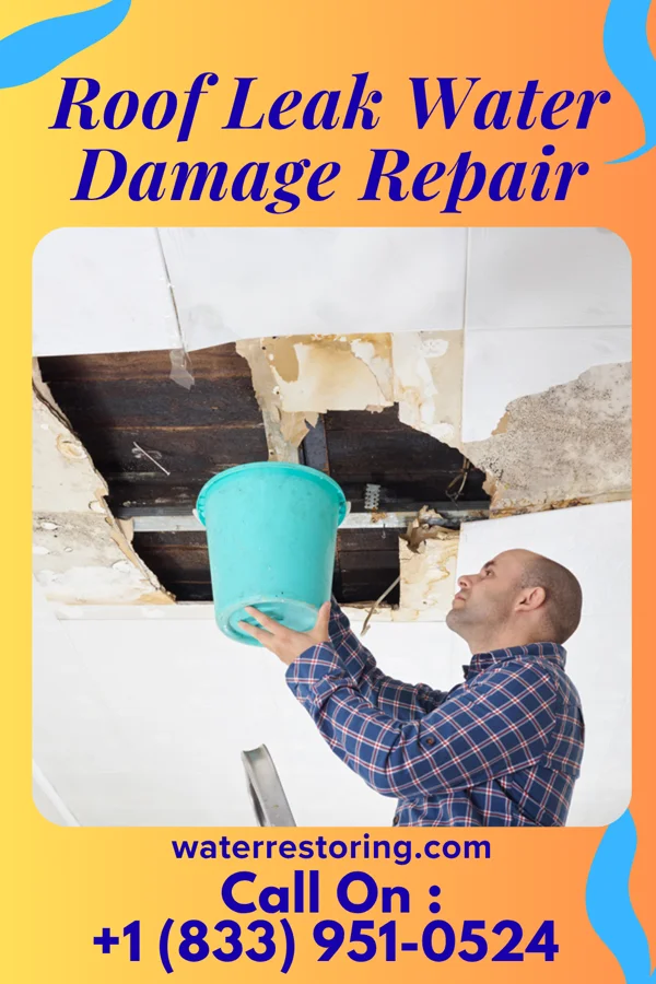 Roof Leak Water Damage Repair in Sunol, NE